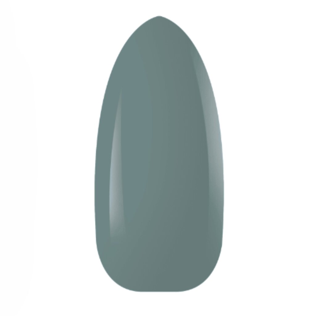 Hibridinis nagų lakas Bling New Style Oil Glue, Nr.52 pilkai žalia, 10 ml цена и информация | Nagų lakai, stiprintojai | pigu.lt
