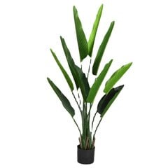 Dirbtinis augalas vazone Bananmedis, 1.60 m kaina ir informacija | Dirbtinės gėlės | pigu.lt