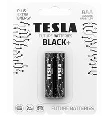 Tesla baterijos 1,5v 996782 kaina ir informacija | Elementai | pigu.lt