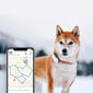 Sekiklis šunims Tractive GPS 4 kaina ir informacija | Antkakliai, petnešos šunims | pigu.lt