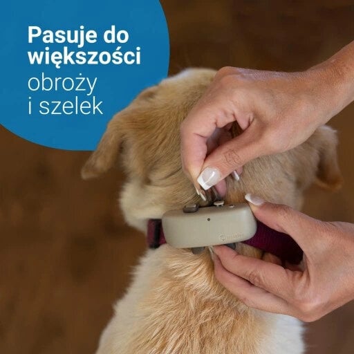 Sekiklis šunims Tractive GPS 4 kaina ir informacija | Antkakliai, petnešos šunims | pigu.lt