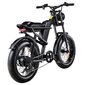 Elektrinis dviratis Riding'times Z8 20", juodas цена и информация | Elektriniai dviračiai | pigu.lt