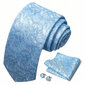 Vyriškas kaklaraištis komplektas melsvas kaina ir informacija | Kaklaraiščiai, peteliškės | pigu.lt