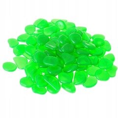 Зеленые камни, светящиеся ночью, 100 шт. цена и информация | Мульча, декоративный щебень | pigu.lt