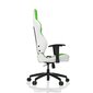 Žaidimų kėdė Vertagear VG-SL2000, balta/žalia kaina ir informacija | Biuro kėdės | pigu.lt