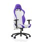 Žaidimų kėdė Vertagear VG-SL2000, balta/violetinė kaina ir informacija | Biuro kėdės | pigu.lt