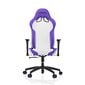 Žaidimų kėdė Vertagear VG-SL2000, balta/violetinė kaina ir informacija | Biuro kėdės | pigu.lt