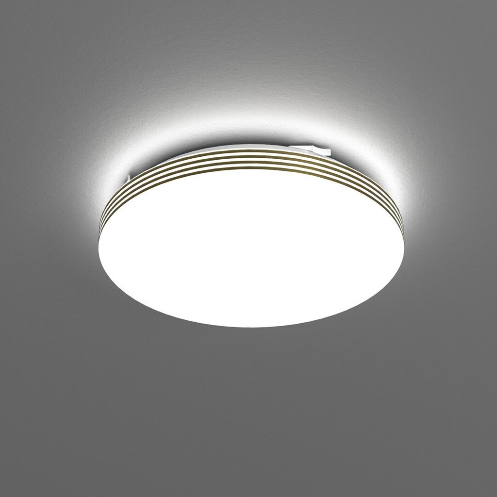 Sieninis LED šviestuvas Bever kaina ir informacija | Sieniniai šviestuvai | pigu.lt