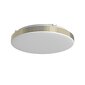 Sieninis LED šviestuvas Bever kaina ir informacija | Sieniniai šviestuvai | pigu.lt