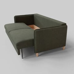 Раскладной двуспальный диван-кровать Podrez MIKA, зеленый цена и информация | Диваны | pigu.lt