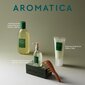 Šampūnas plaukams Aromatica 01 Rosmarin Veganes, 400 ml kaina ir informacija | Šampūnai | pigu.lt