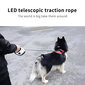 5m ištraukiamas pavadėlis šuniui LIVMAN H-40 su LED lempute kaina ir informacija | Pavadėliai šunims | pigu.lt