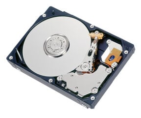 Fujitsu S26361-F5581-L112 цена и информация | Внутренние жёсткие диски (HDD, SSD, Hybrid) | pigu.lt