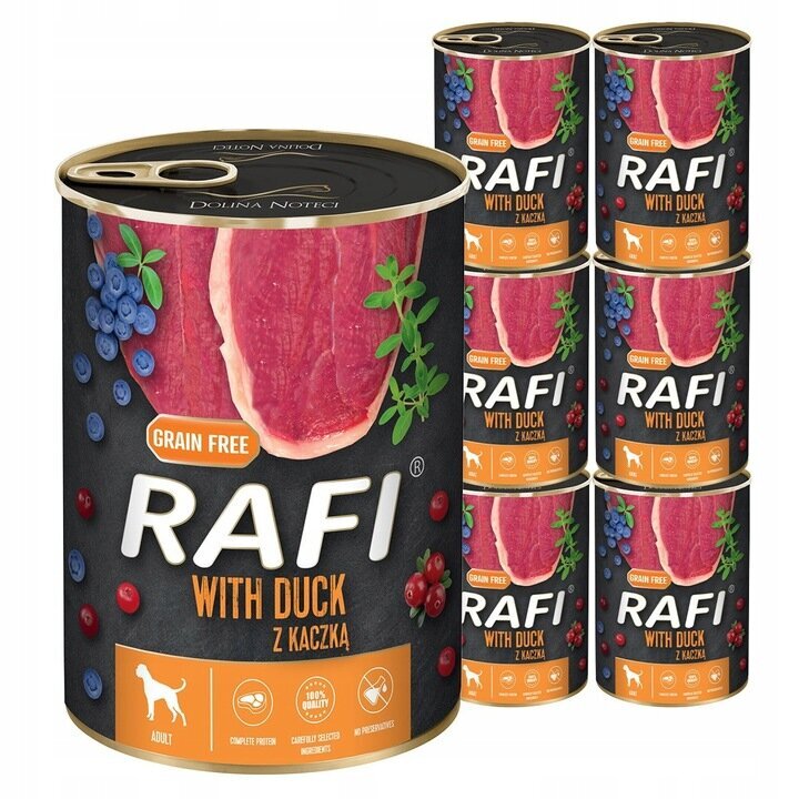 Rafi su antiena ir mėlynėmis, 24x400 g цена и информация | Konservai šunims | pigu.lt