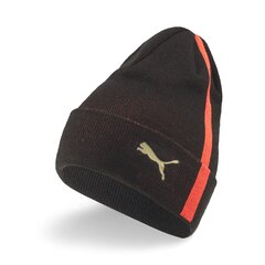 PUMA juodos spalvos laisvalaikio kepurė  suaugusiems Kepurė NEYMAR JR Diamond Bronx Beanie Pu - 02435001 цена и информация | Женские шапки | pigu.lt