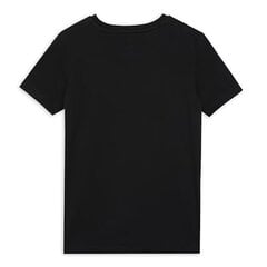 Детская футболка Puma, черный цена и информация | Рубашки для мальчиков | pigu.lt