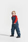 Didriksons kombinezonas berniukams, mėlynas kaina ir informacija | Žiemos drabužiai vaikams | pigu.lt