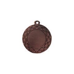 Bronzos medalis, 40 mm kaina ir informacija | Numizmatika | pigu.lt