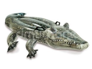 Pripučiamas krokodilas Intex, 170 x 86 cm, žalias kaina ir informacija | Pripučiamos ir paplūdimio prekės | pigu.lt
