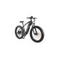 Elektrinis dviratis DYU KING 750 26", juodas kaina ir informacija | Elektriniai dviračiai | pigu.lt