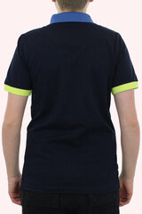 МУЖСКОЕ ПОЛО AERONAUTICA MILITARE 41194-5 цена и информация | Мужские футболки | pigu.lt