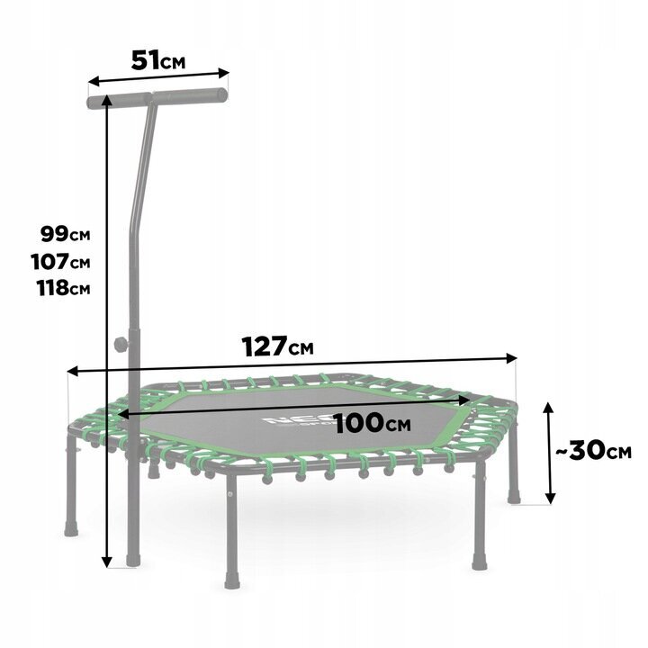 Fitneso batutas su rankena Neo Sport, 127 cm, žalias kaina ir informacija | Batutai | pigu.lt