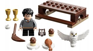 30420 LEGO® Гарри Поттер и Сова Хедвиг цена и информация | Конструкторы и кубики | pigu.lt