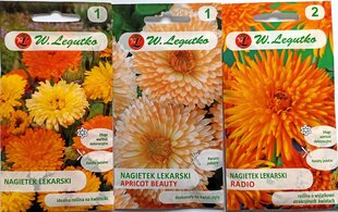 Medetkos W. Legutko цена и информация | Семена цветов | pigu.lt