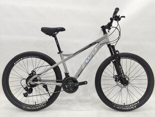 Kalnų dviratis Ewo React Wers, 26'', pilkas kaina ir informacija | Dviračiai | pigu.lt