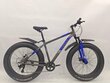 Kalnų dviratis Ewo React Grand Fat Bike, 26'', mėlynas kaina ir informacija | Dviračiai | pigu.lt