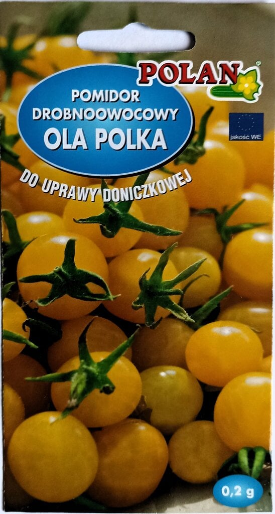 Pomidorai Ola Polka Polan kaina ir informacija | Daržovių, uogų sėklos | pigu.lt