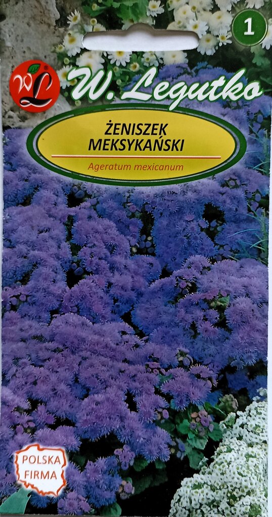 Meksikinis žydrūnis W. Legutko kaina ir informacija | Gėlių sėklos | pigu.lt