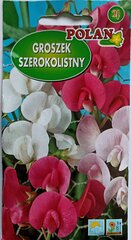 Daugiamečiai gėlių žirniai Polan kaina ir informacija | Gėlių sėklos | pigu.lt