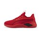 Sportiniai batai vyrams Puma 37682603, raudoni kaina ir informacija | Kedai vyrams | pigu.lt