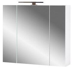 Зеркальный шкафчик Aatrium Salinas, 76x18x71 см, белый цена и информация | Шкафчики для ванной | pigu.lt