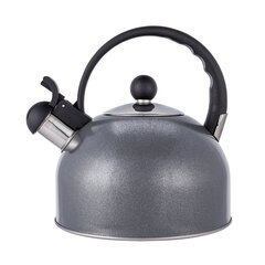 чайник из нержавеющей стали 2,5 л серого цвета цена и информация | Чайники, кофейники | pigu.lt