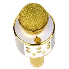 Беспроводной Bluetooth-динамик, караоке-микрофон Denver KMS-20GMK2 Gold цена и информация | Микрофоны | pigu.lt