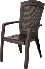 Садовый стул Minnesota, коричневый цена и информация |  Садовые стулья, кресла, пуфы | pigu.lt