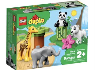 10904 LEGO® Duplo Gyvūnėliai, 9 d. kaina ir informacija | Konstruktoriai ir kaladėlės | pigu.lt