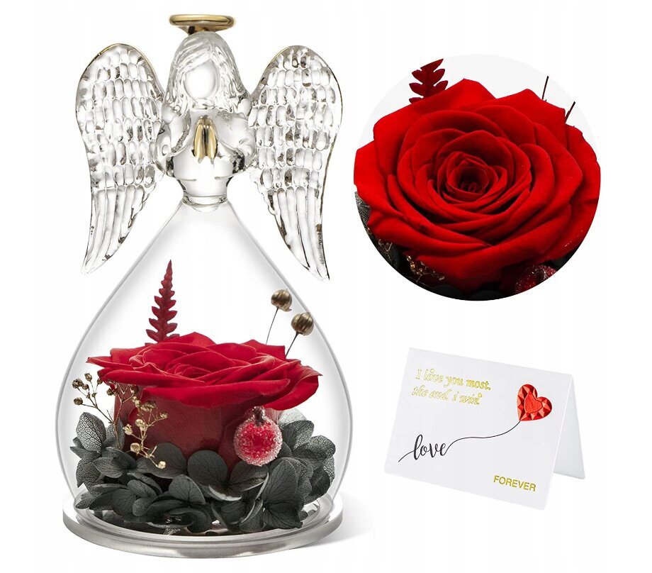 Amžina rožė angelo formos kupole цена и информация | Kitos originalios dovanos | pigu.lt