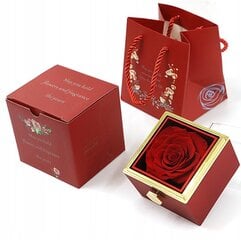 Dovanų dėžutė su amžina rože ir kaklo pakabuku, raudona kaina ir informacija | Kitos originalios dovanos | pigu.lt