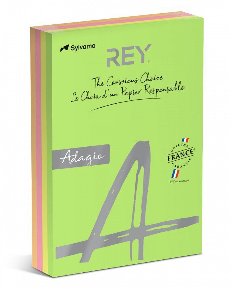 Spalvotas popierius Rey Adagio A4 600 lapų kaina ir informacija | Sąsiuviniai ir popieriaus prekės | pigu.lt