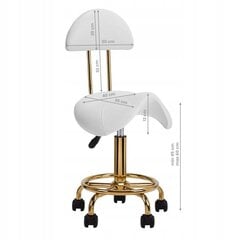 Косметический стул 6001G белый цена и информация | Мебель для салонов красоты | pigu.lt
