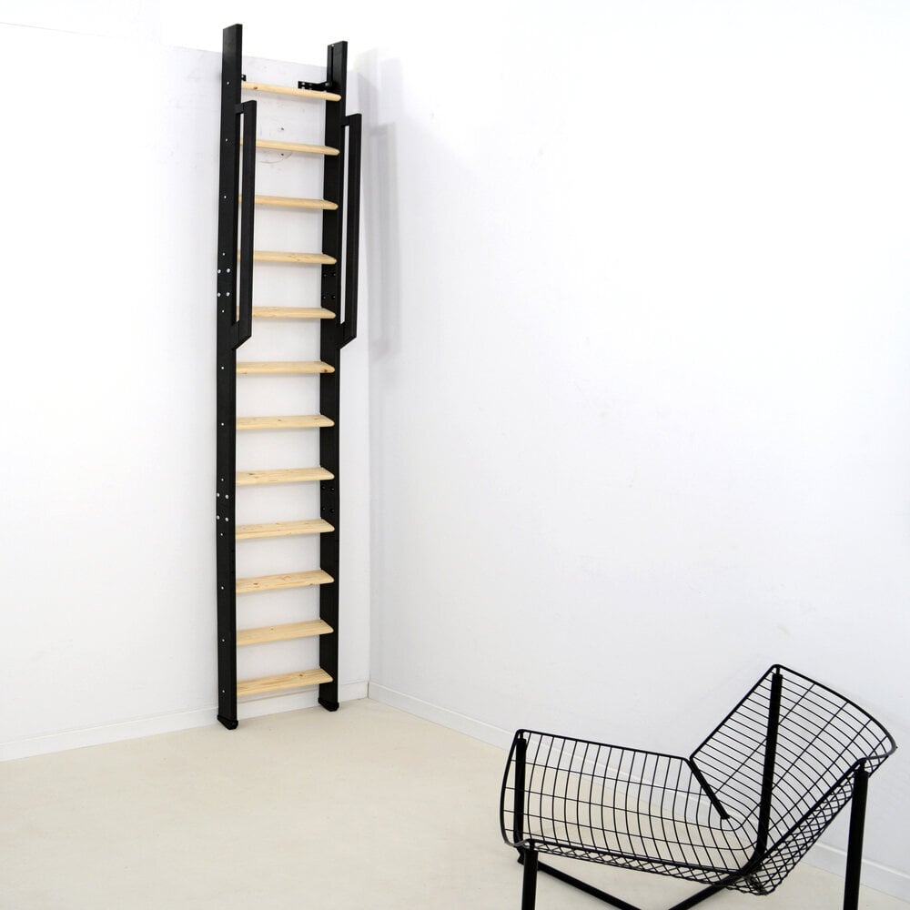 Laiptai Minka Strong 8, Aukštis 199 - 210 cm цена и информация | Laiptai | pigu.lt