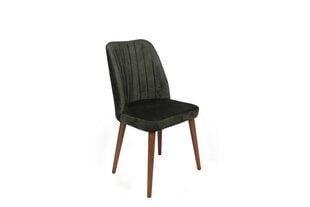 2-ių kėdžių komplektas Asir, žalias/rudas kaina ir informacija | Virtuvės ir valgomojo kėdės | pigu.lt