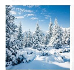 Фотофон Зимний пейзаж, 3x3 м цена и информация | Осветительное оборудование для фотосъемок | pigu.lt