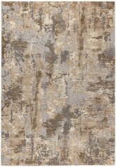 Kilimas Pierre Cardin Monet 160x230 cm kaina ir informacija | Kilimai | pigu.lt