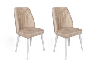 2-ių dalių kėdžių komplektas Asir, smėlio/baltas kaina ir informacija | Virtuvės ir valgomojo kėdės | pigu.lt