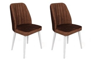 2-ių dalių kėdžių komplektas Asir, rudas/baltas kaina ir informacija | Virtuvės ir valgomojo kėdės | pigu.lt