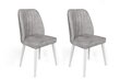 2-ių dalių kėdžių komplektas Asir, pilkas/baltas kaina ir informacija | Virtuvės ir valgomojo kėdės | pigu.lt